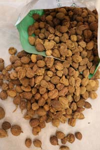 1677658211192411.jpg 杭州治疗结节的医馆:女性甲状腺结节要紧么?